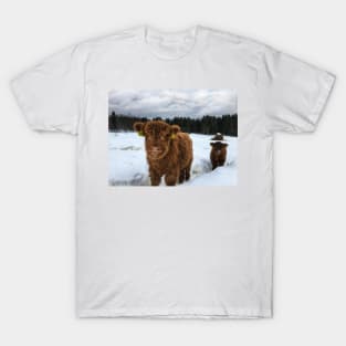 Scottish Highland Cattle Calves 1613 T-Shirt
